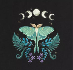 Sac fourre-tout Luna Moth